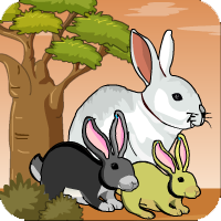 Bunny Forest Escape1